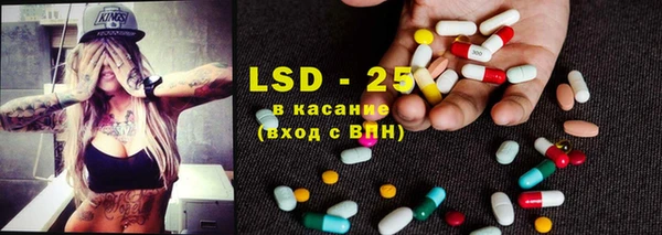 ГАЛЛЮЦИНОГЕННЫЕ ГРИБЫ Аркадак