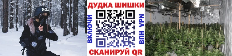 Бошки Шишки конопля магазин продажи Ивангород